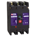 TSM21-100 Series Moulded Case Circuit Breaker